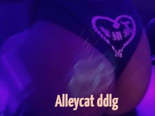 Alleycat_ddlg