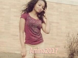 Amina2017