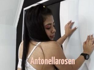 Antonellarosen