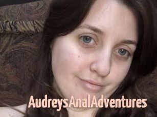 AudreysAnalAdventures