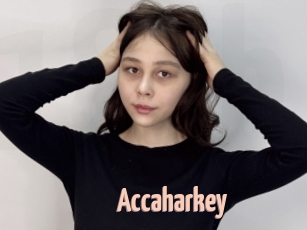 Accaharkey