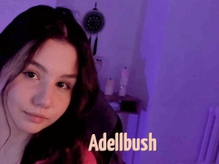 Adellbush