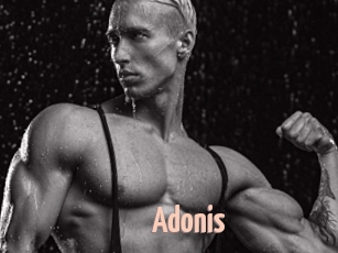 Adonis_