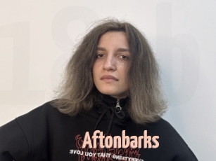 Aftonbarks