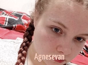 Agnesevan