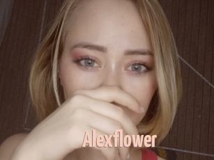 Alexflower