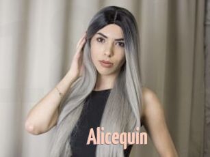 Alicequin