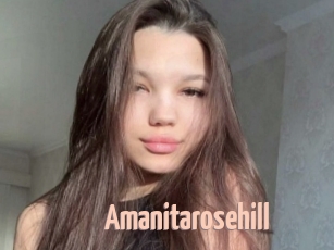 Amanitarosehill