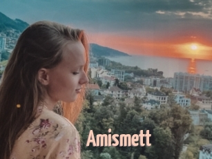 Amismett