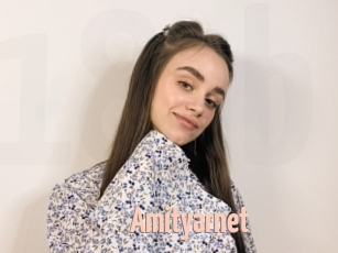 Amityarnet