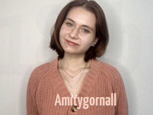 Amitygornall