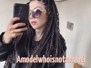 Amodelwhoisnotamodel