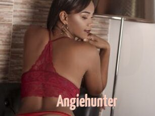 Angiehunter