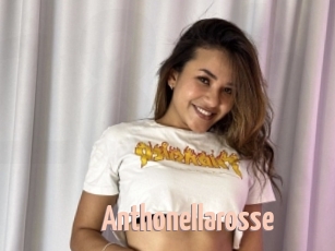 Anthonellarosse