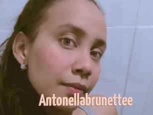 Antonellabrunettee