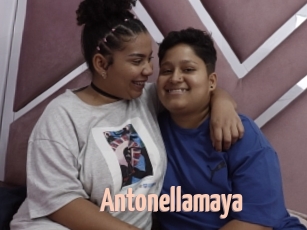 Antonellamaya