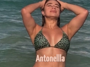 Antonellla