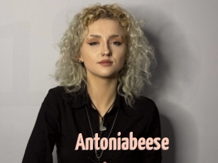 Antoniabeese