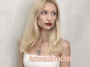 Antoniabracher