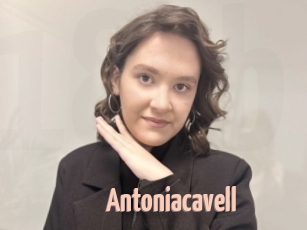 Antoniacavell