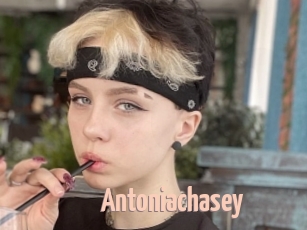 Antoniachasey