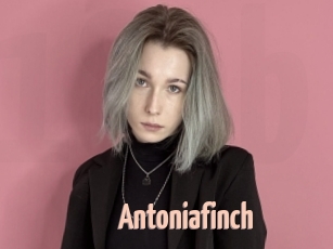 Antoniafinch