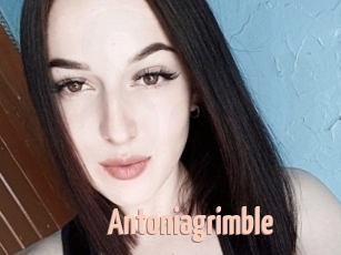 Antoniagrimble