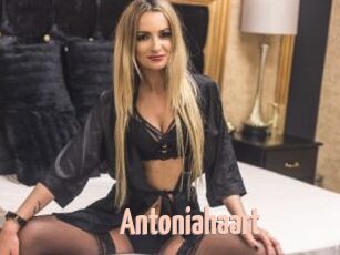 Antoniahaart
