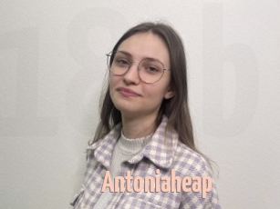 Antoniaheap