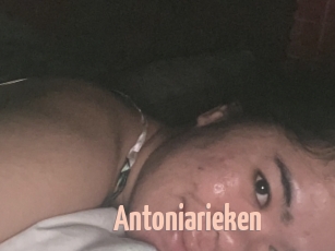 Antoniarieken