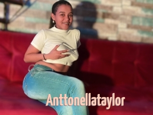 Anttonellataylor