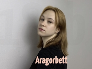 Aragorbett