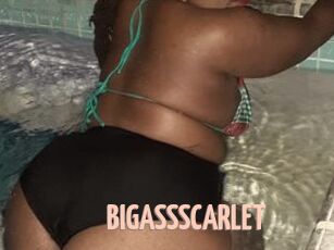 BIGASSSCARLET