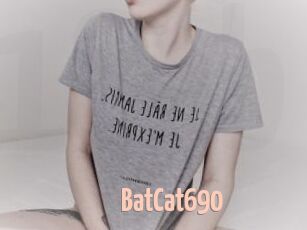 BatCat690