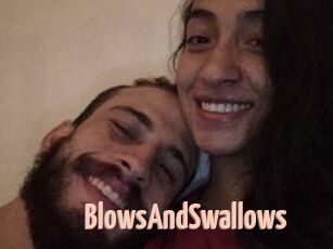 BlowsAndSwallows