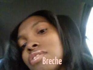 Breche