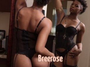 Breerose