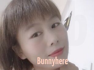 Bunnyhere