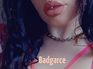 Badgarce