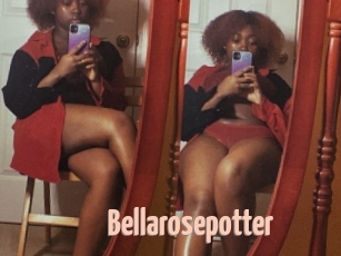 Bellarosepotter