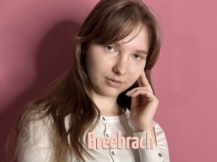 Breebrach