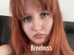 Breebuss