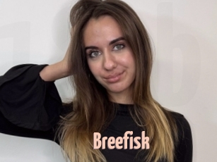 Breefisk