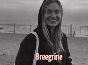 Breegrine