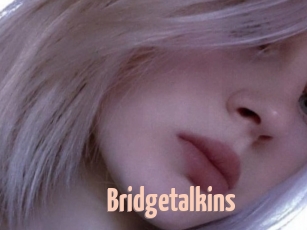 Bridgetalkins