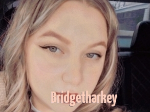 Bridgetharkey