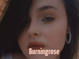 Burningrose