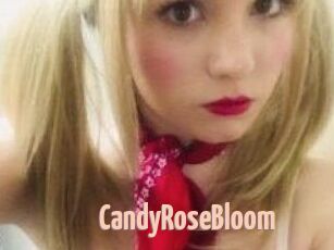 CandyRoseBloom