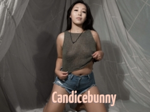 Candicebunny