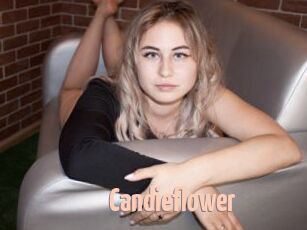 Candieflower